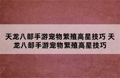 天龙八部手游宠物繁殖高星技巧 天龙八部手游宠物繁殖高星技巧